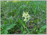 Slika_029.webp