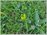 Slika_032.webp