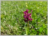 Slika_033.webp