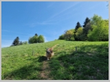 Slika_036.webp
