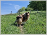 Slika_037.webp