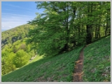 Slika_041.webp