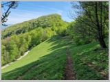 Slika_042.webp