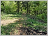 Slika_046.webp