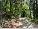 Slika_047.webp
