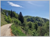 Slika_048.webp