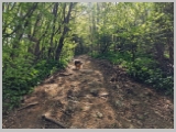 Slika_053.webp