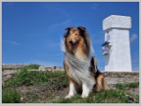 Slika_063.webp