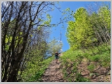 Slika_064.webp