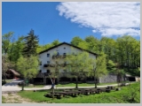 Slika_066.webp