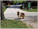 Slika_069.webp