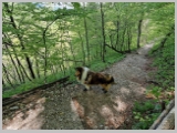 Slika_071.webp
