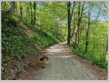 Slika_073.webp