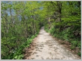 Slika_075.webp