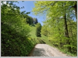 Slika_081.webp