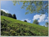 Slika_082.webp