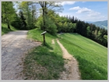 Slika_086.webp