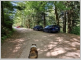 Slika_094.webp