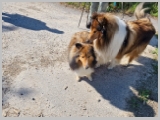 Slika_008.webp