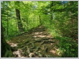 Slika_010.webp