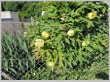 Slika_014.webp