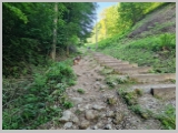 Slika_018.webp
