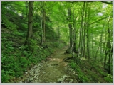 Slika_027.webp