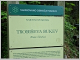 Slika_030.webp
