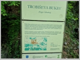 Slika_031.webp