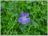 Slika_036.webp