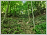 Slika_038.webp