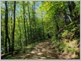 Slika_050.webp
