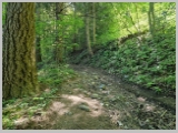 Slika_056.webp