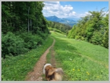 Slika_080.webp