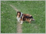 Slika_088.webp