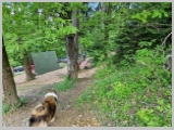 Slika_091.webp