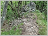 Slika_123.webp