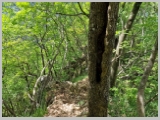 Slika_131.webp