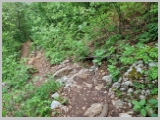 Slika_136.webp