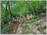 Slika_138.webp