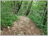 Slika_139.webp