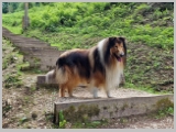 Slika_147.webp