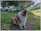 Slika_001.webp