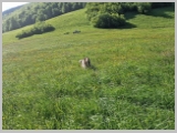 Slika_006.webp