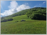 Slika_007.webp