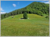Slika_009.webp