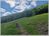 Slika_011.webp