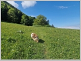 Slika_013.webp