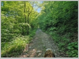 Slika_016.webp