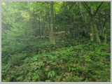 Slika_017.webp